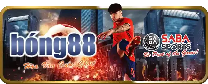 Đá gà cựa dao Thomo kịch tính